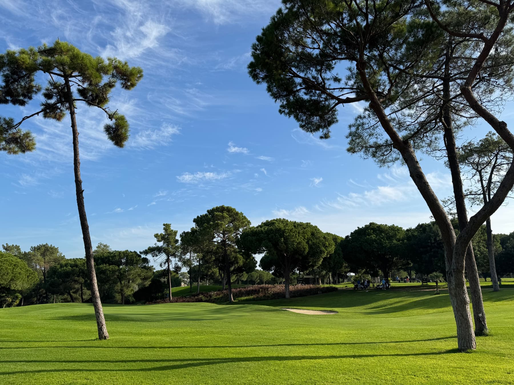 A fairway at Vilamoura under umbrella pines, a bunker in the middle distance and a group of golfers gathered in the shade
